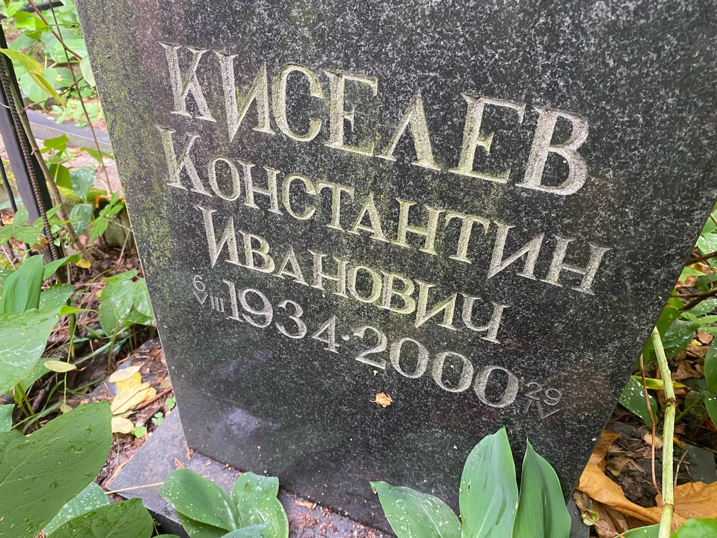 Киселев