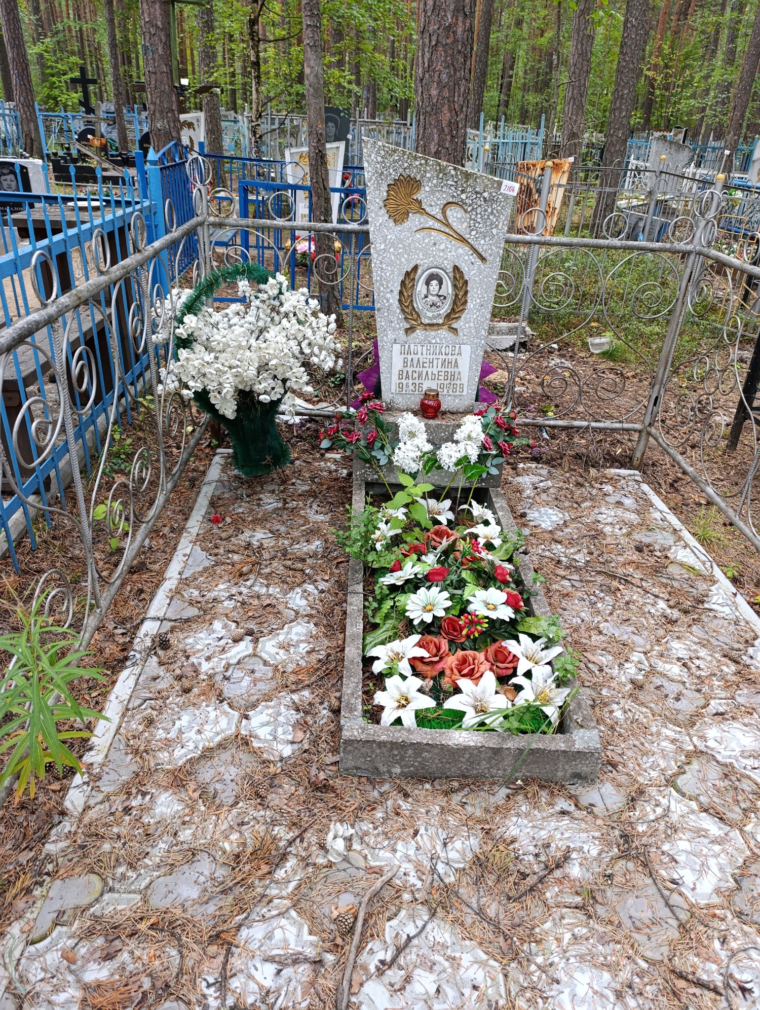 Плотникова Валентина Васильевна