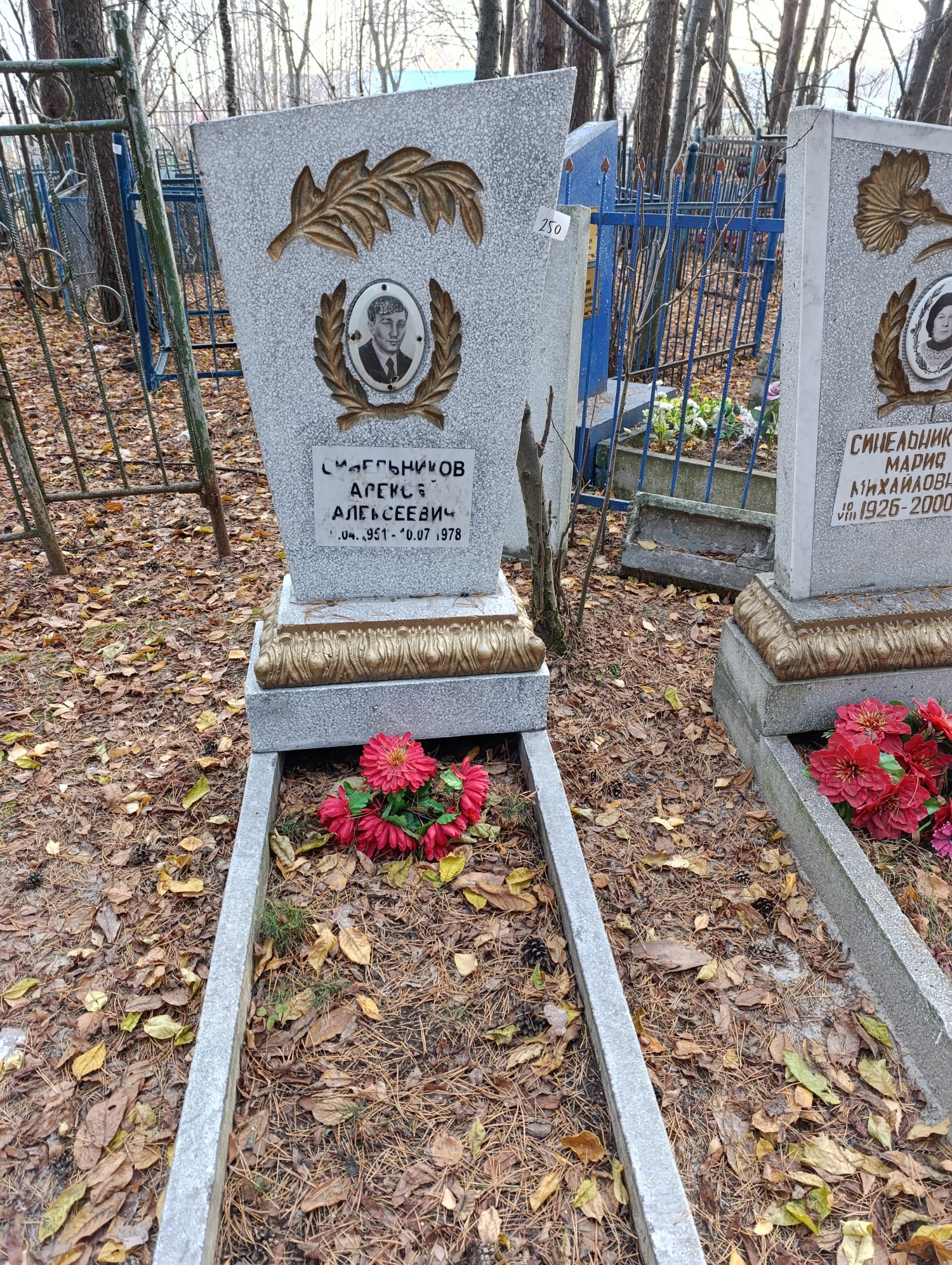 Синельников Алексей Алексеевич