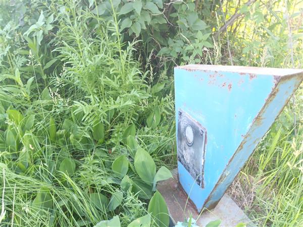 Лилбард Александр Иванович