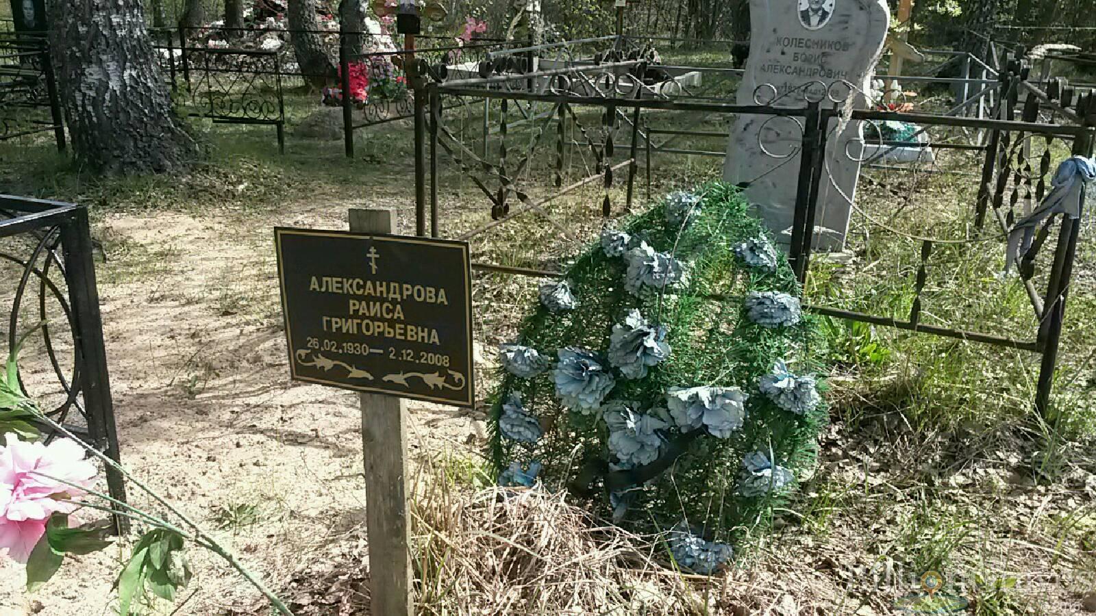 александрова раиса григорьевна