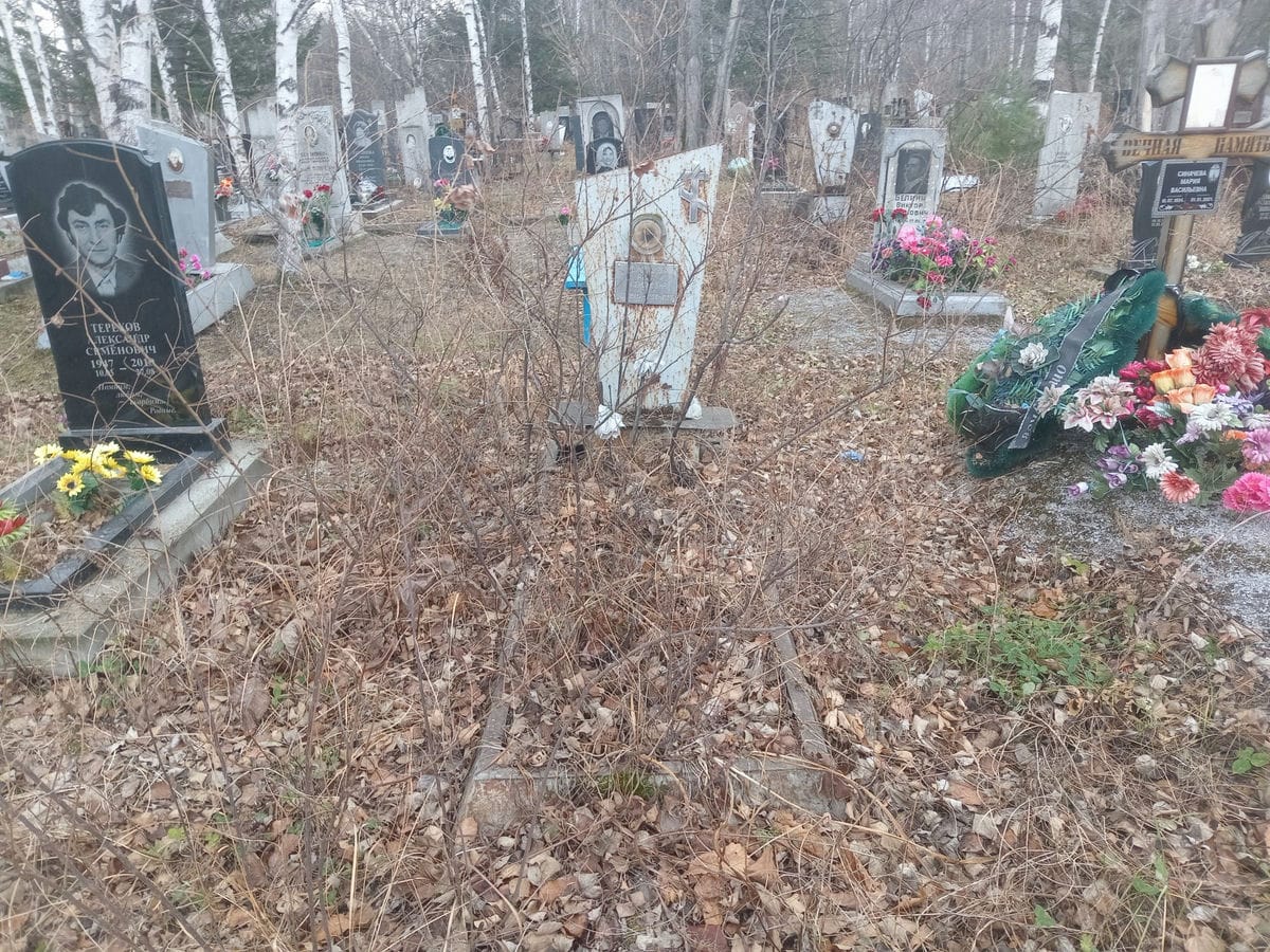 Нехорошева Анна Алексеевна