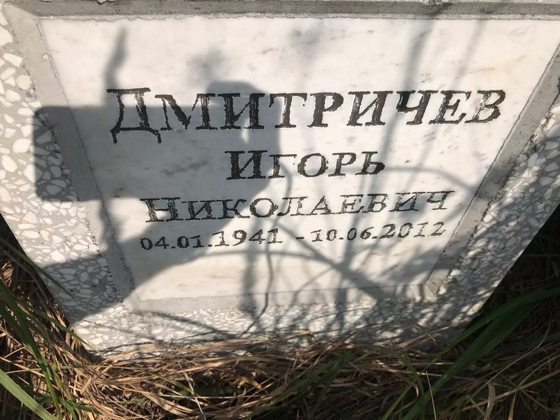 Дмитричев