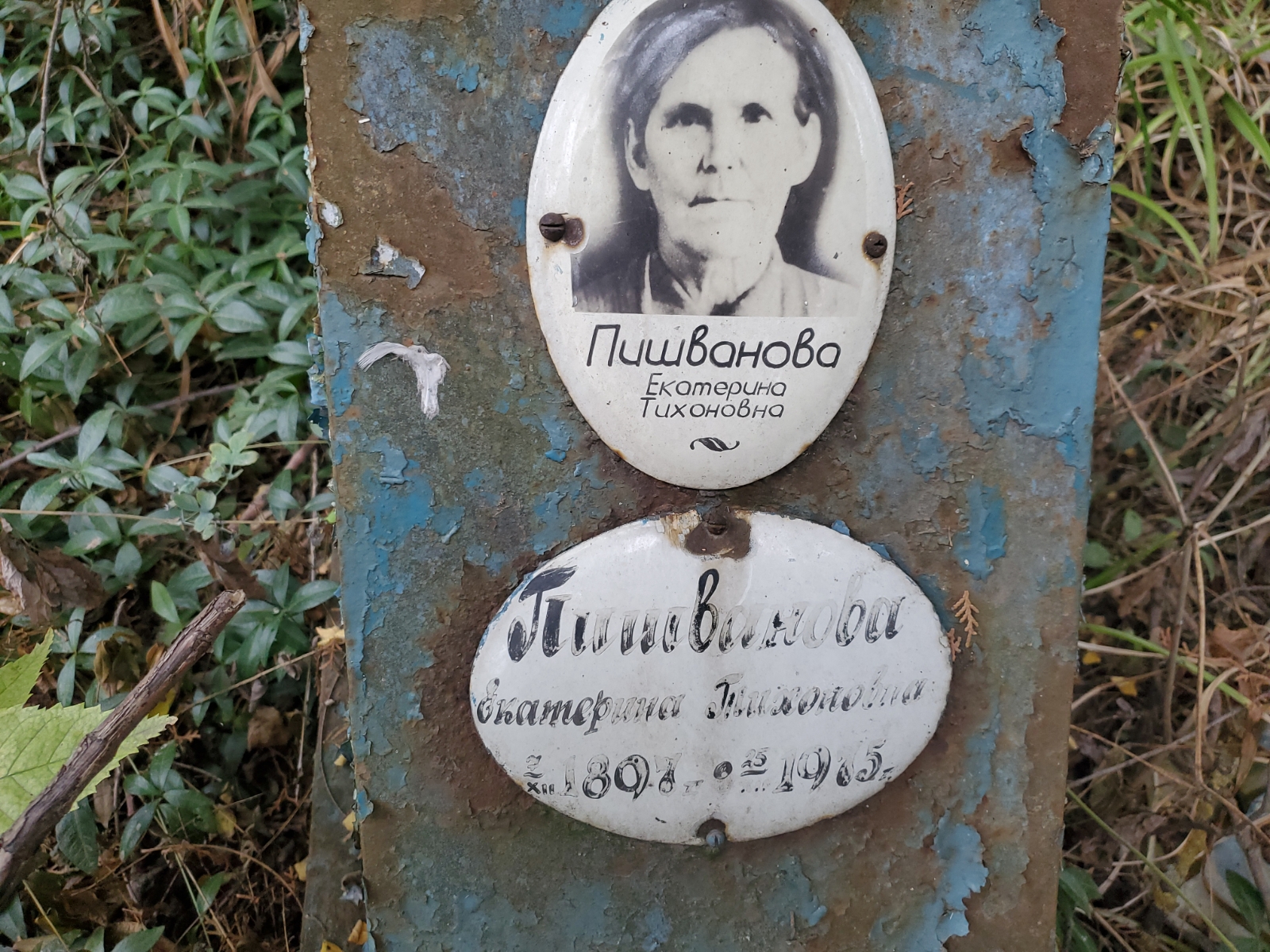 Пишванова Екатерина Тихоновна