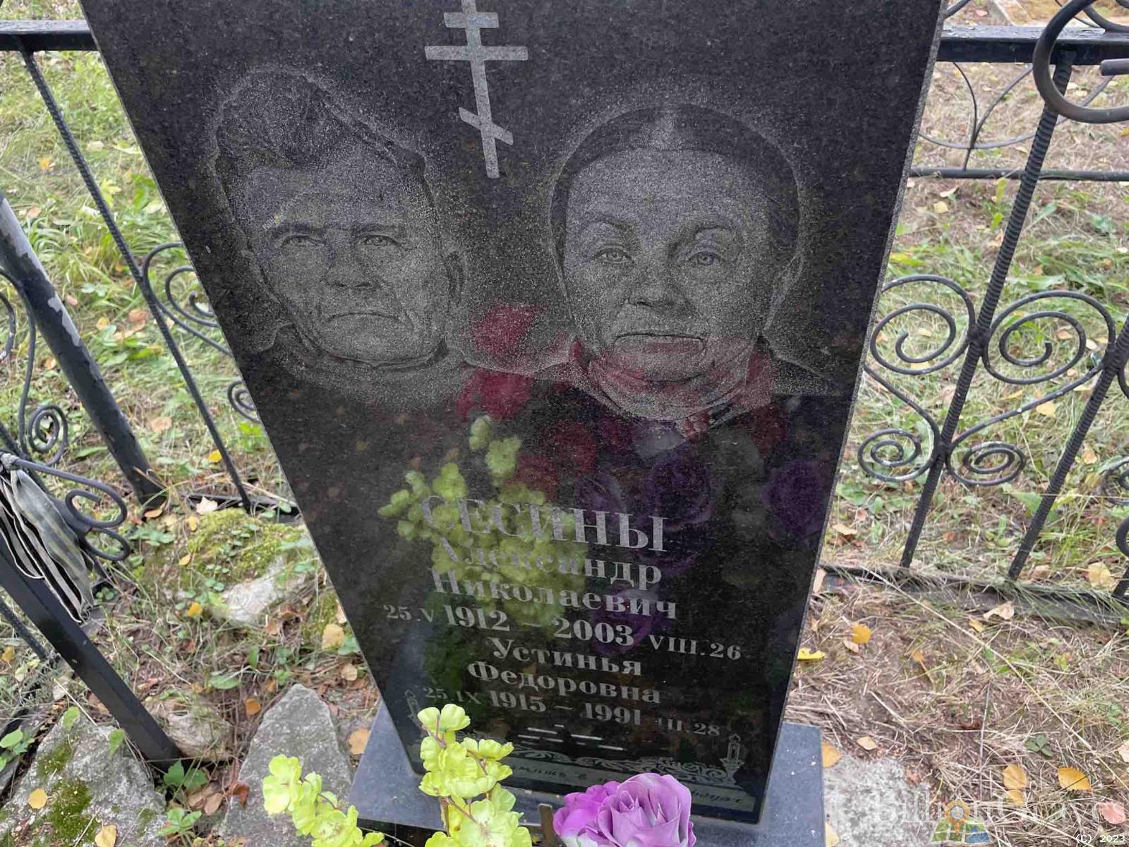 Сесин Александр Николаевич
