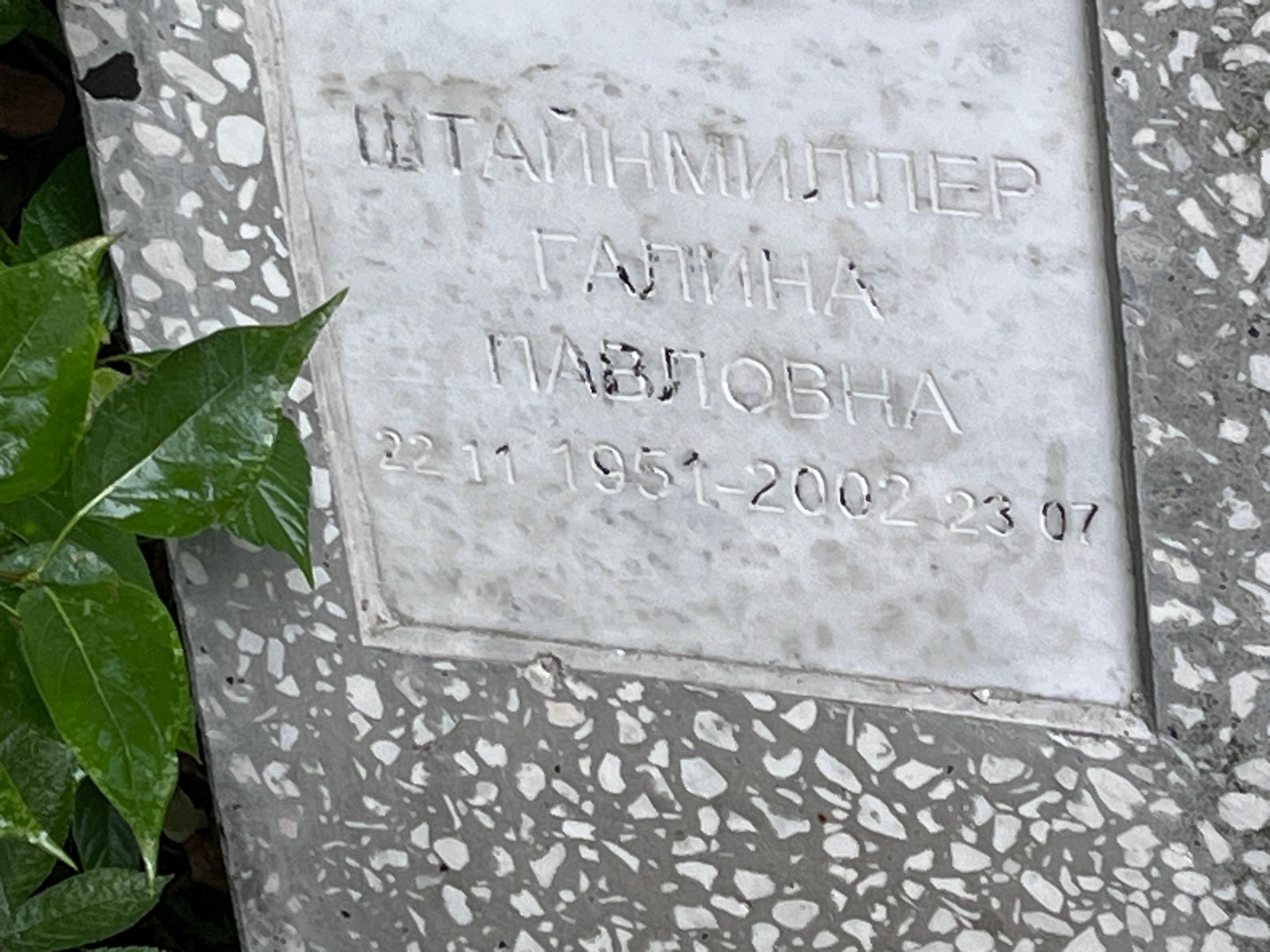 Штайнмиллер
