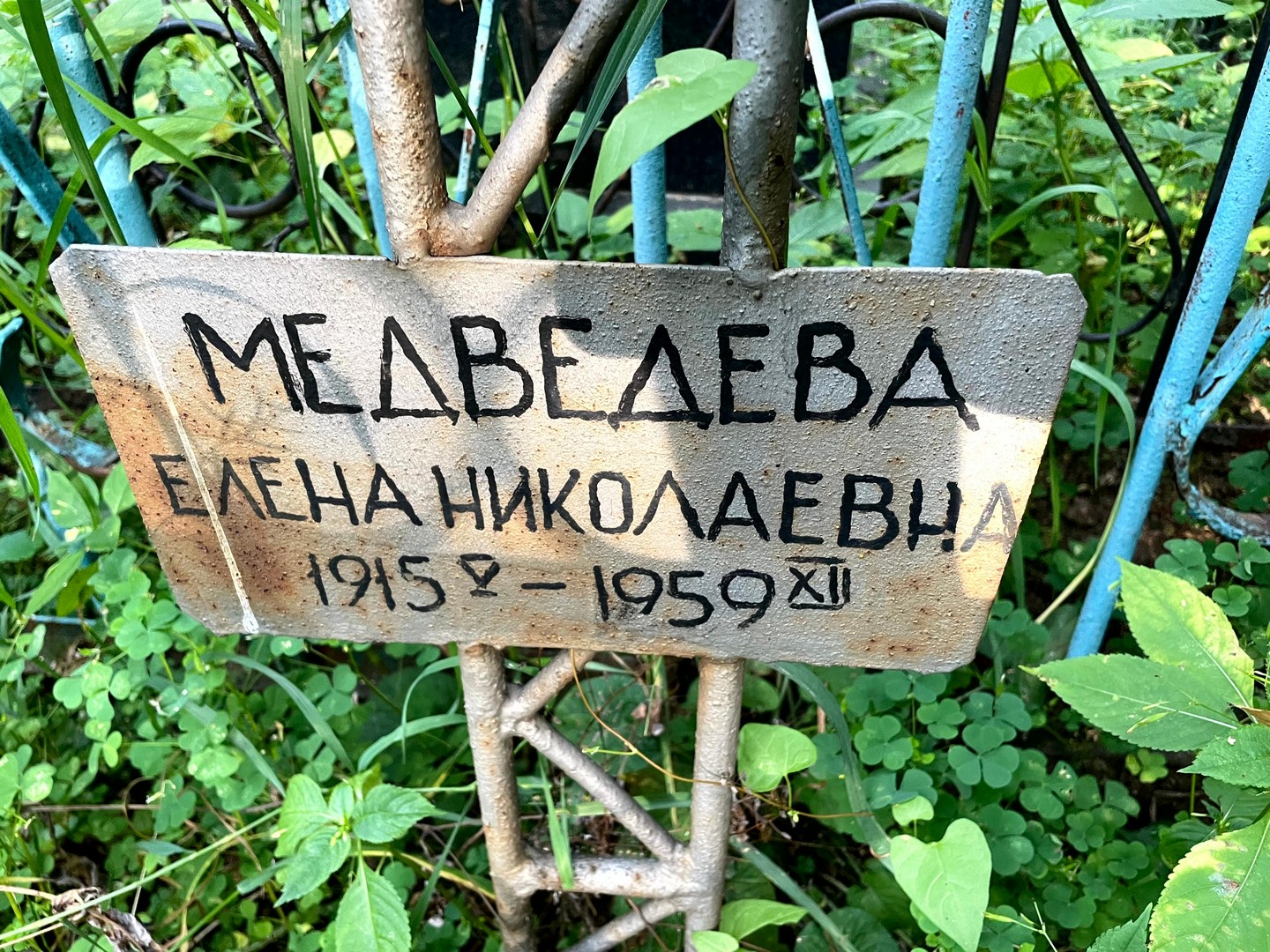 Медведева