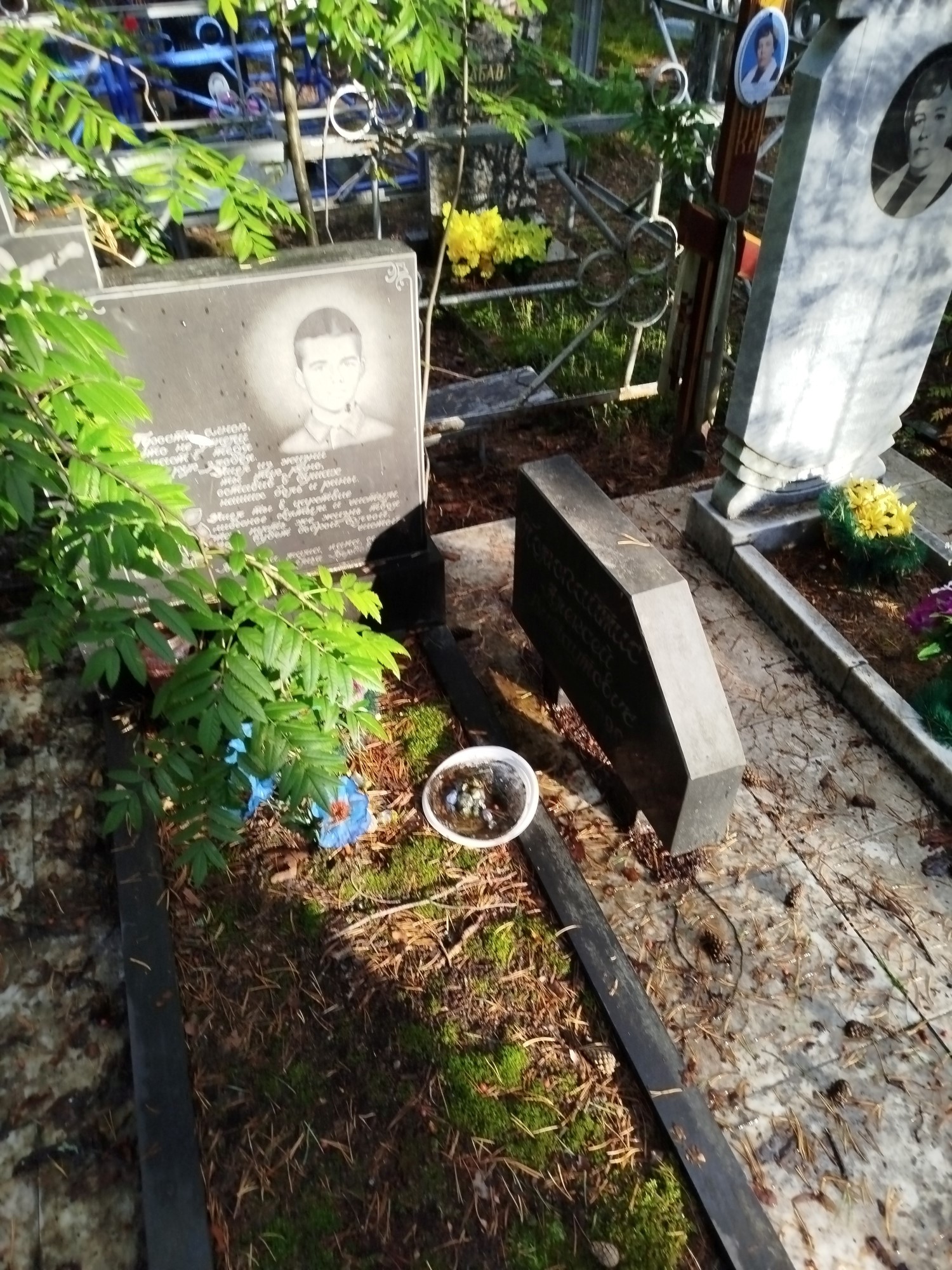 Полюкайтис Алексей Витальевич