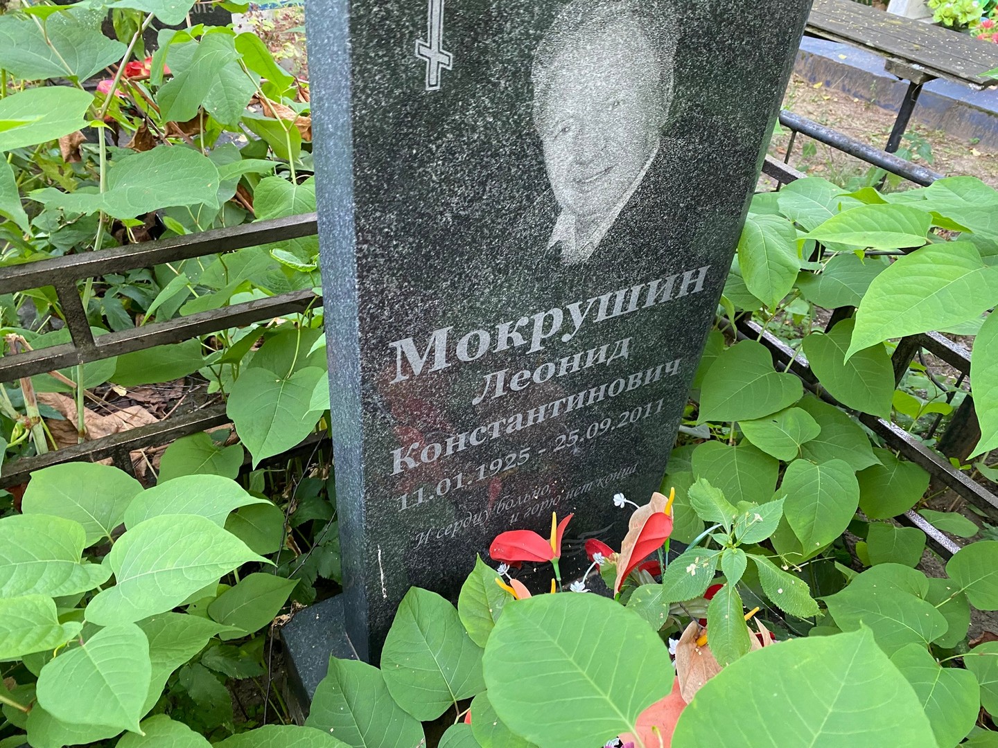 Мокрушин