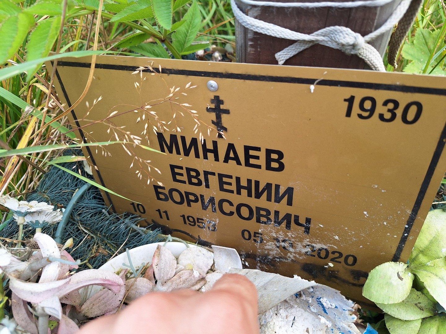 Минаев