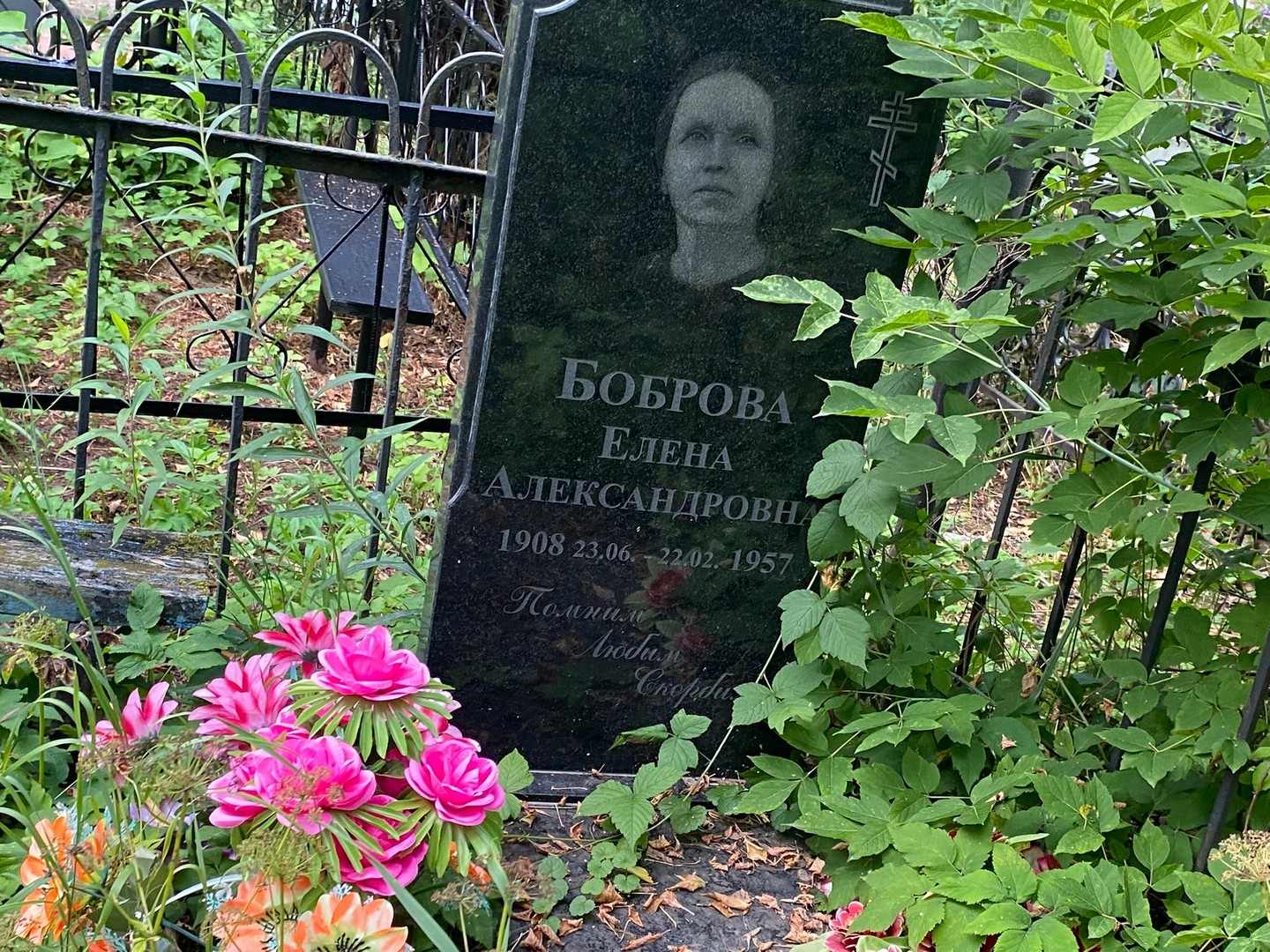 Боброва