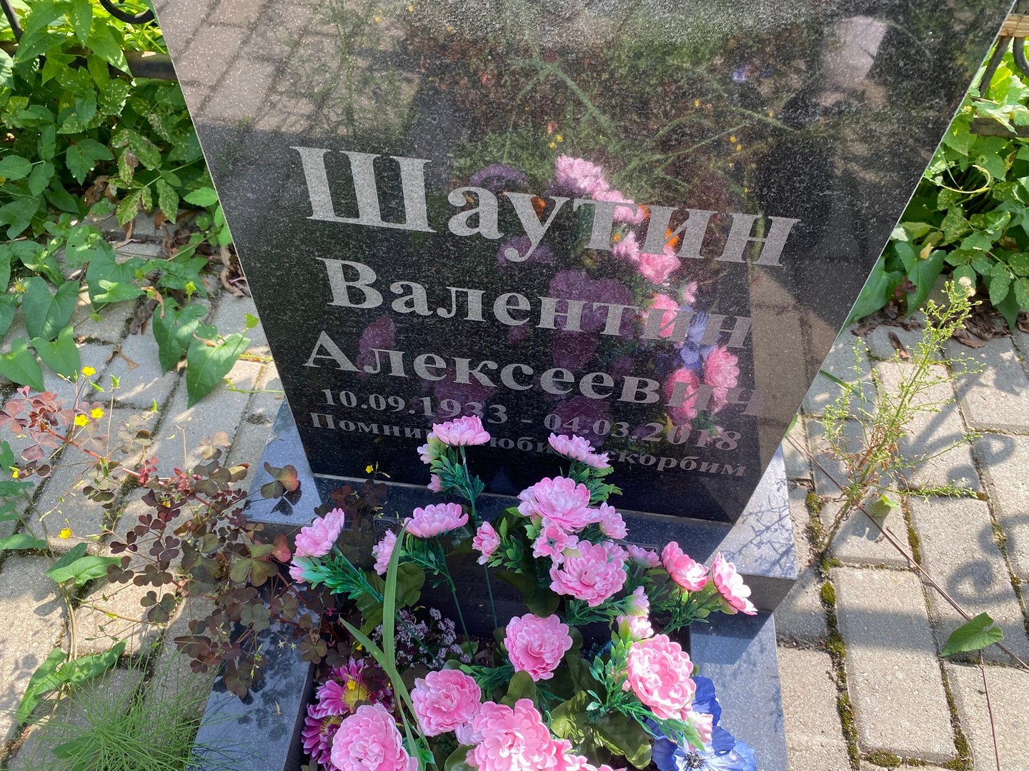 Шаутин