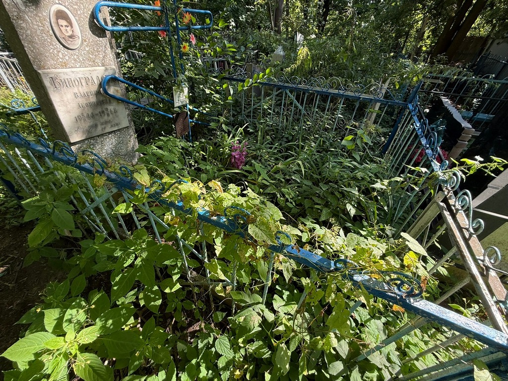 Виноградова Валентина Леонидовна