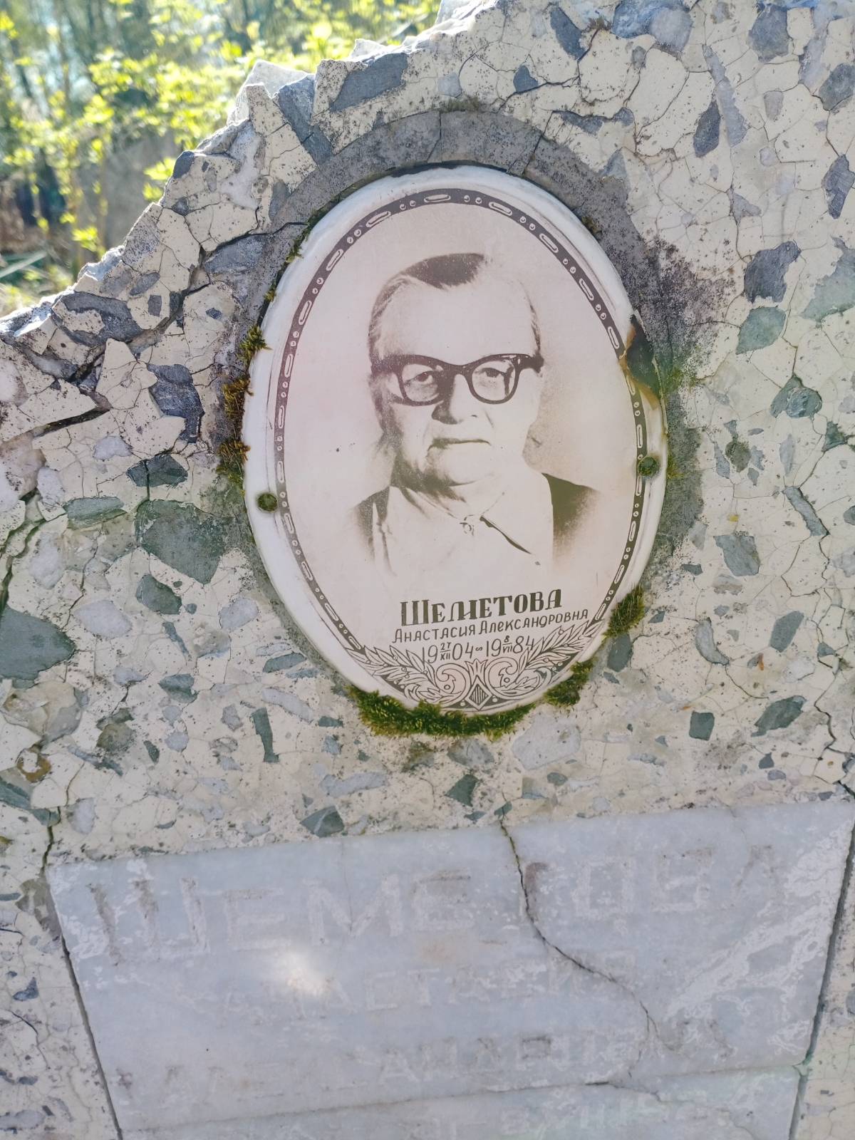 Шеметова Анастасия Александровна