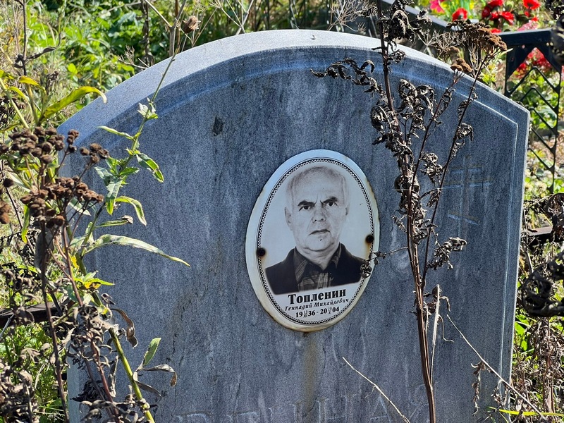 Топленин