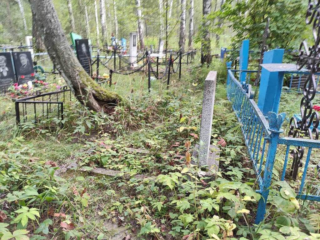 Шредник Софья Андреевна