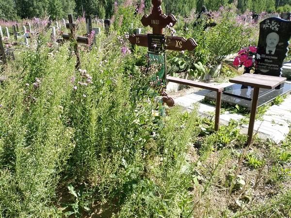 Полякова Людмила Викторовна