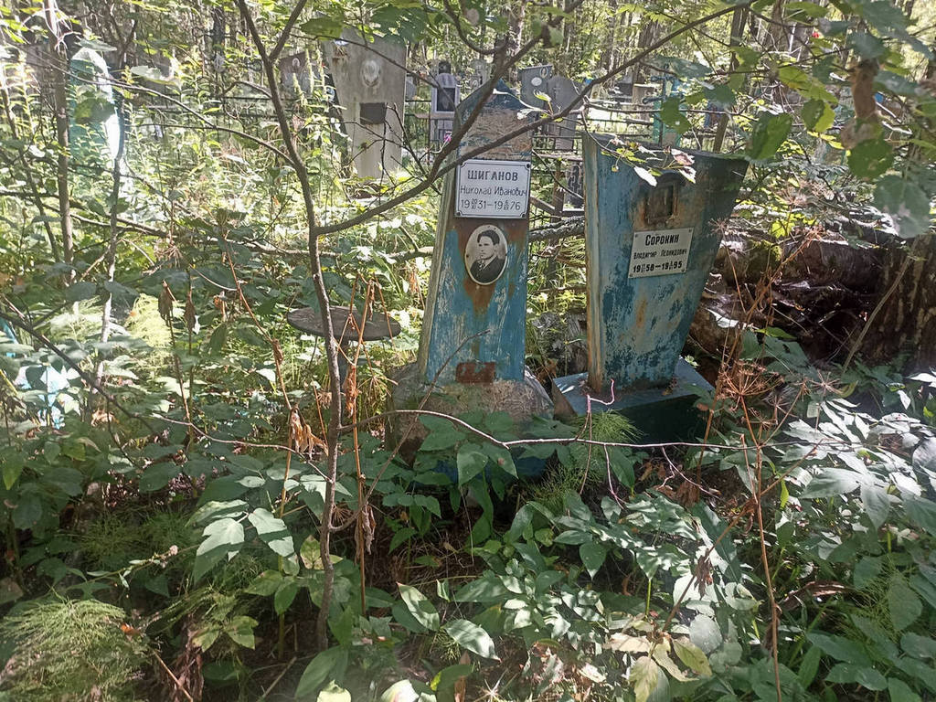 Шиганов Николай Иванович