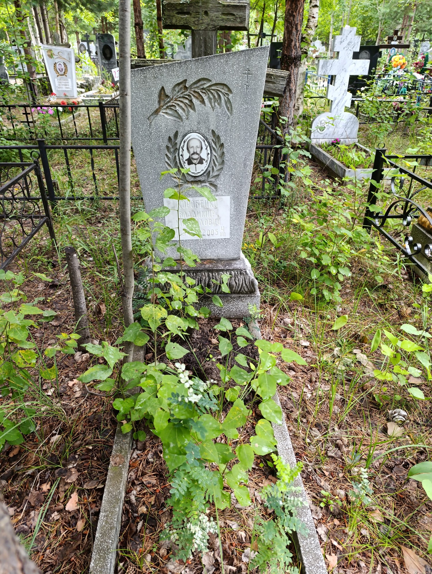 Коробейко Владимир Михайлович