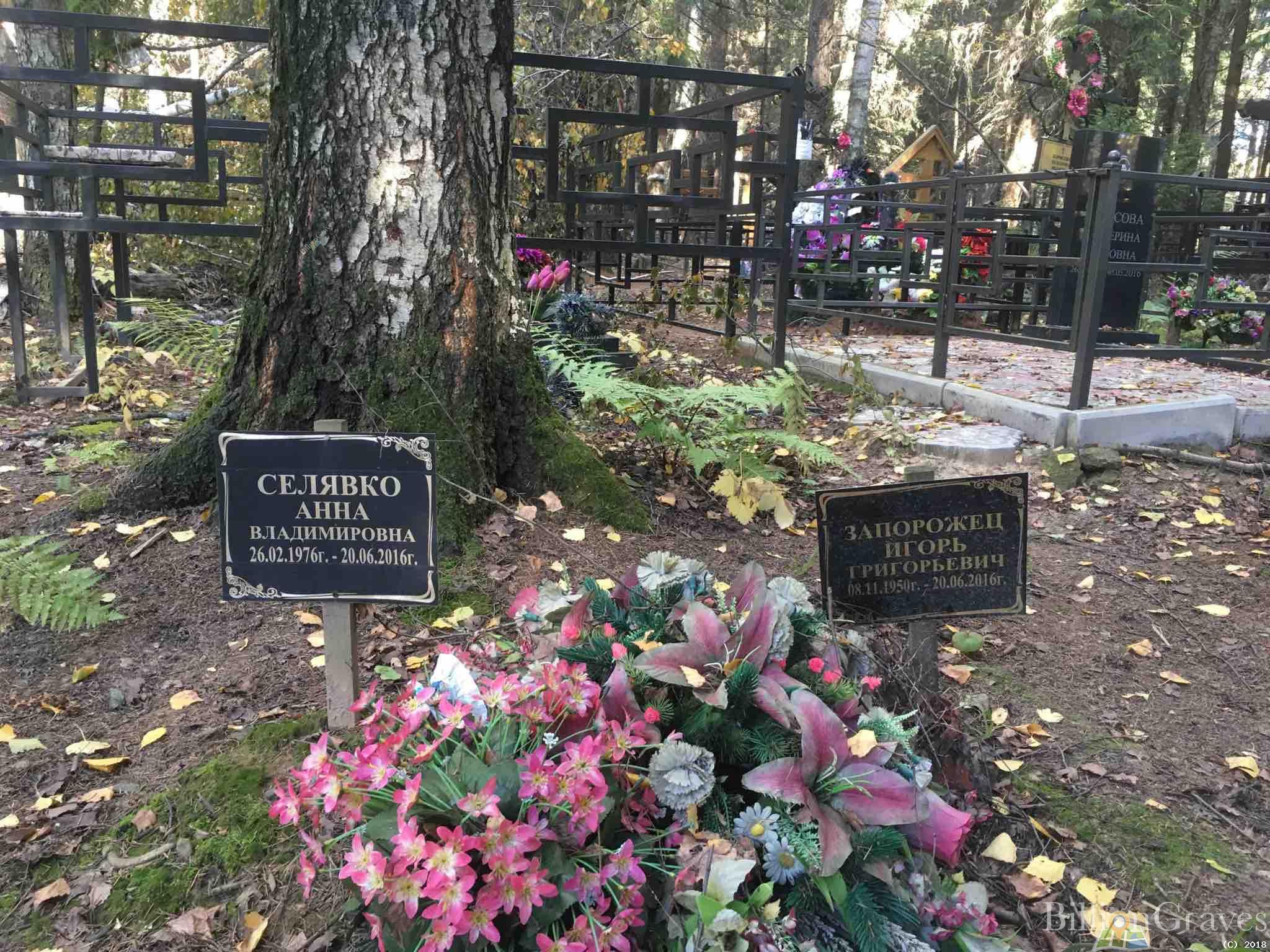 Селявко Анна Владимировна