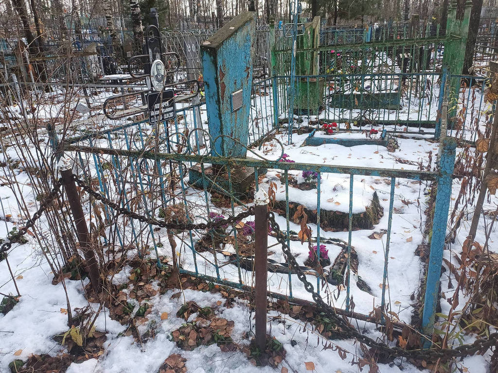 Косарева Серафима Николаевна