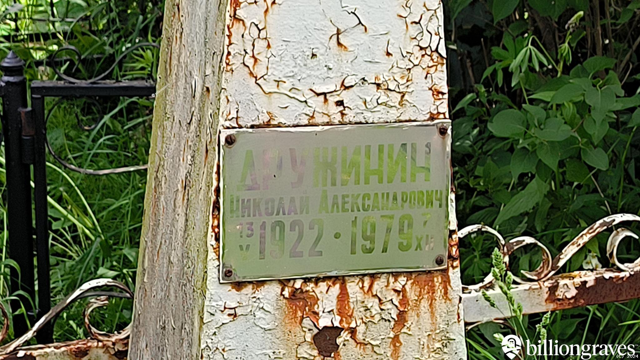 Дружинин Николай Александрович