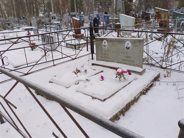 Дриневский Валерий Адамович