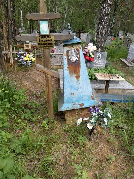 Забродин Владимир Кронидович