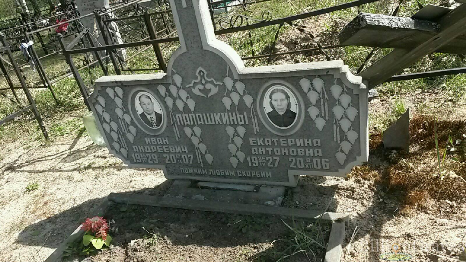 палашкина екатерина антоновна