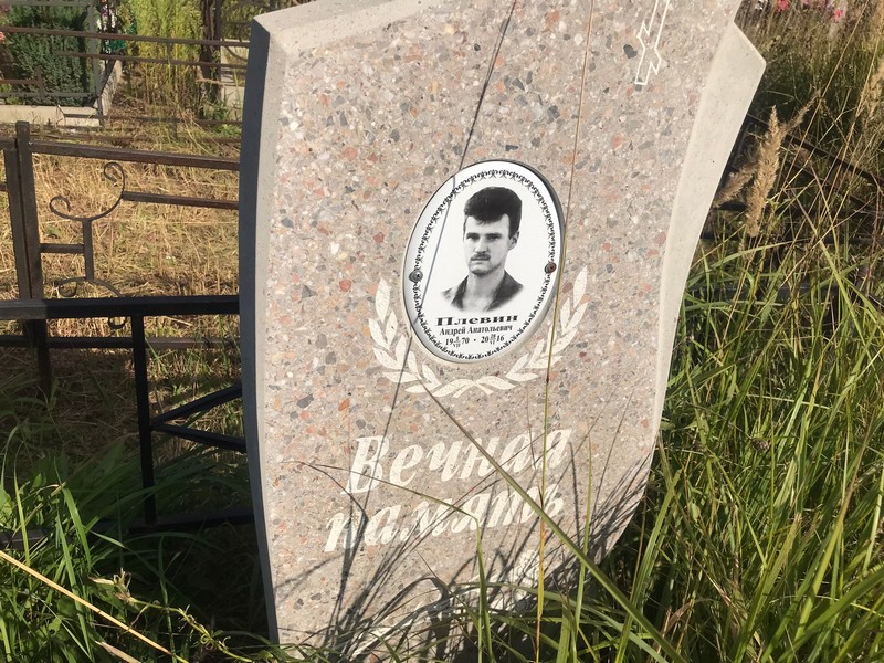 Плевин