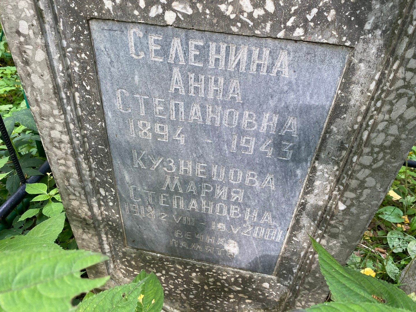 Селенина