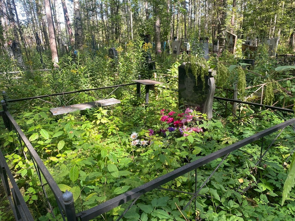 Большаков Андрей Александрович