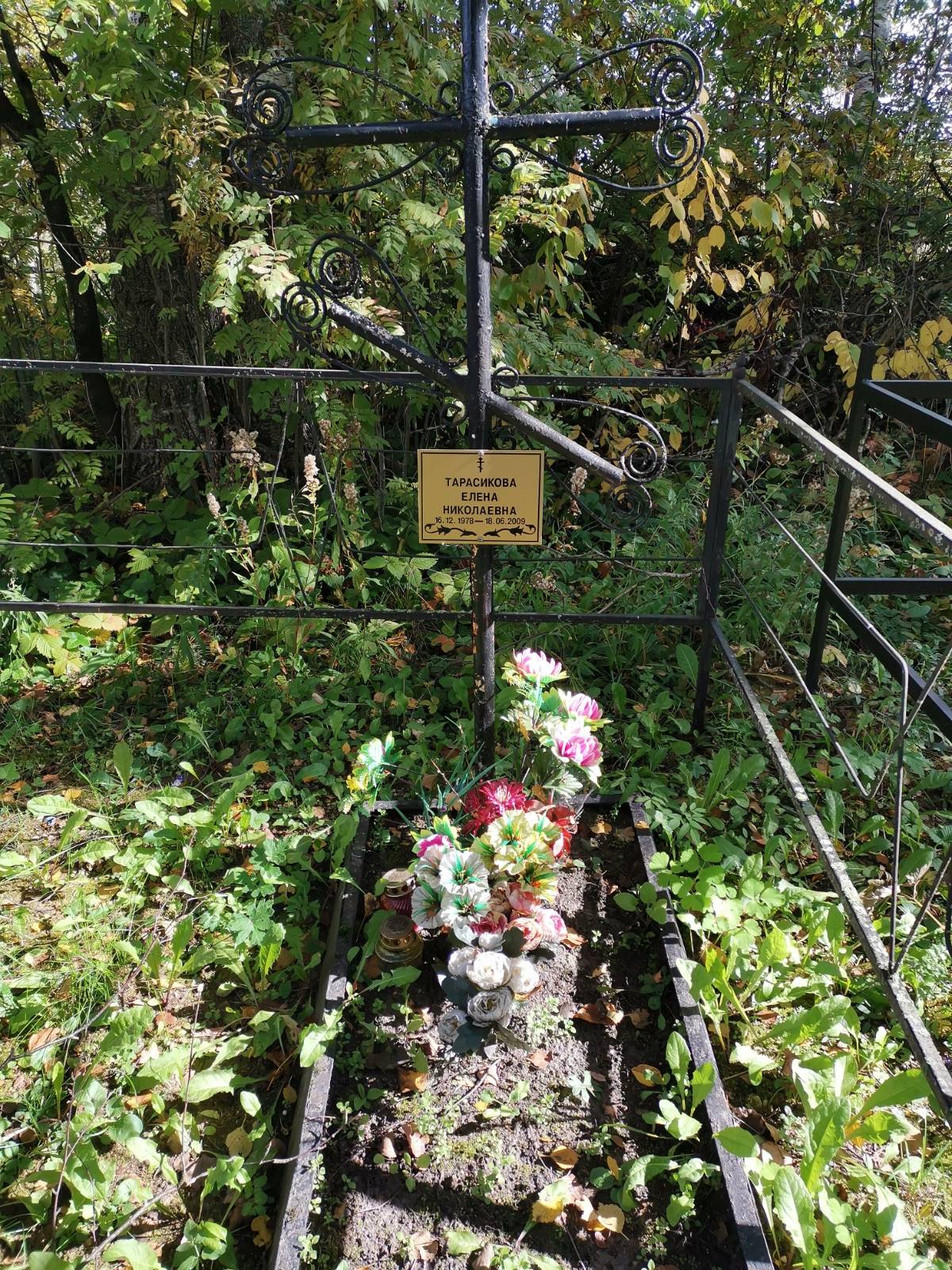 Тарасикова Елена Николаевна