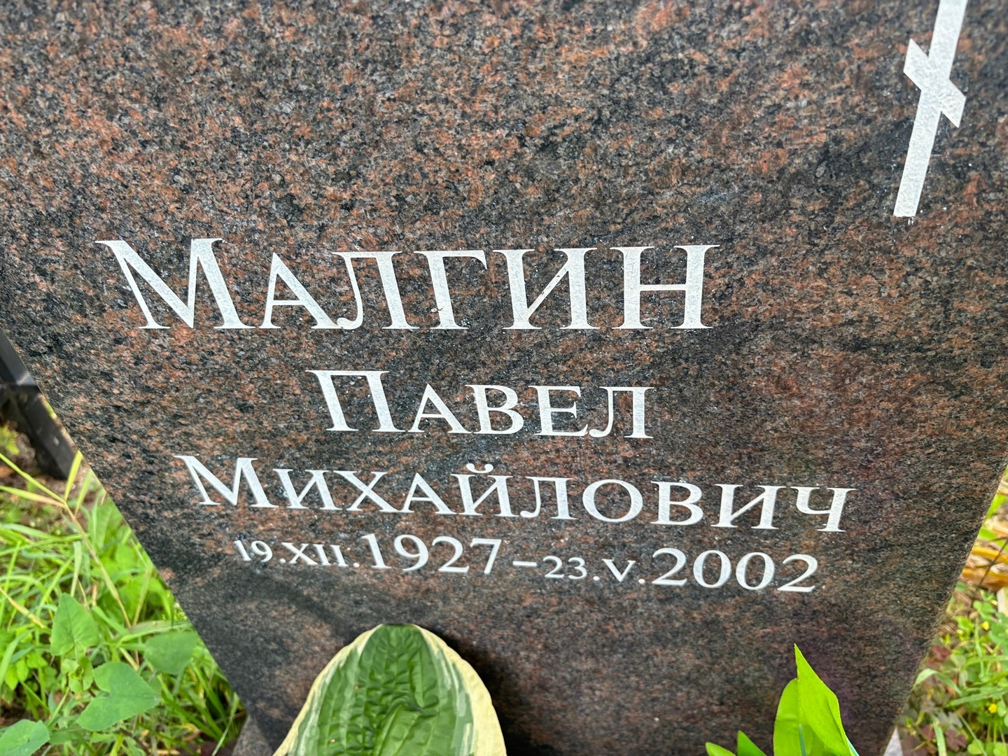 Малгин