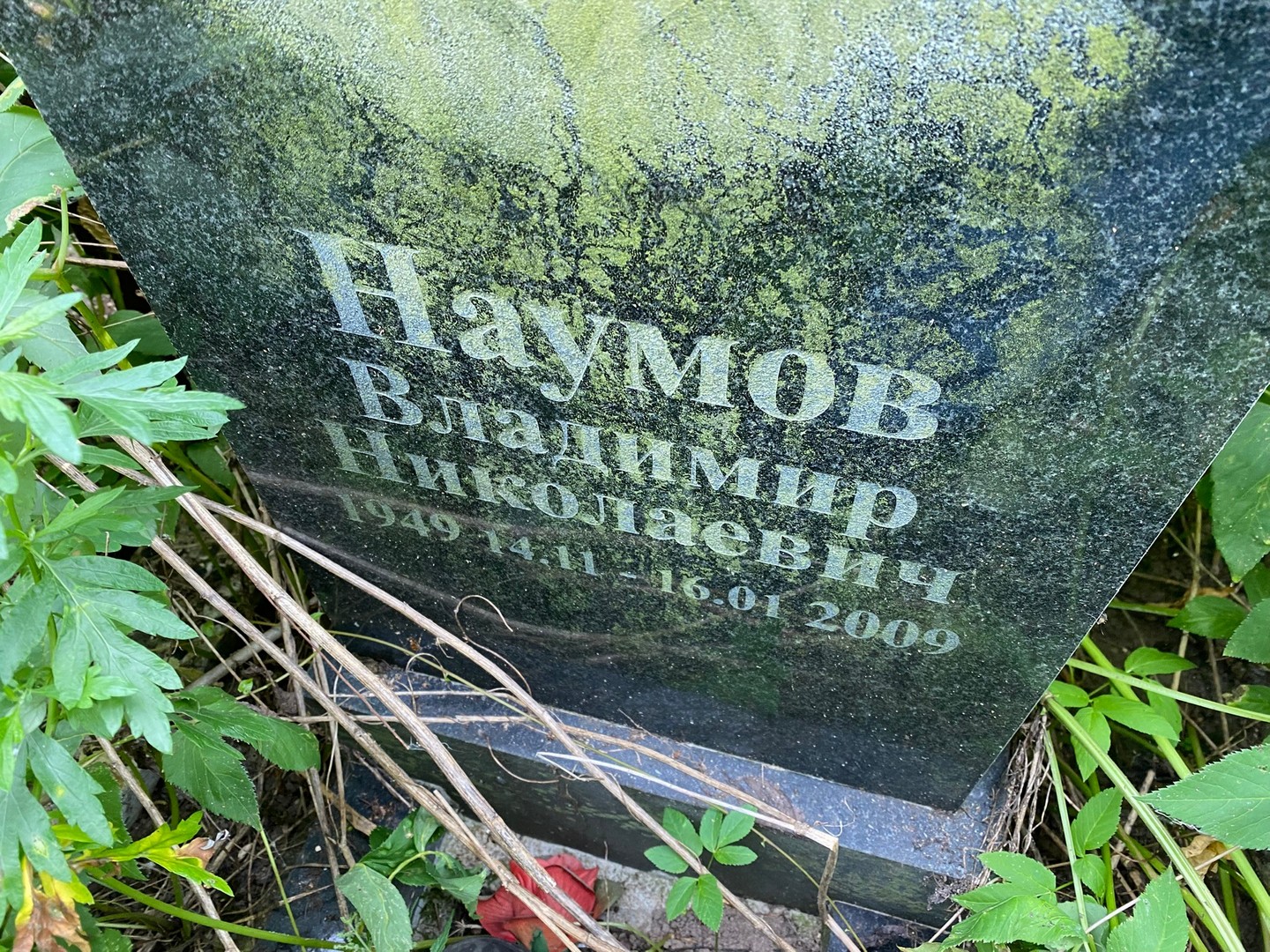 Наумов