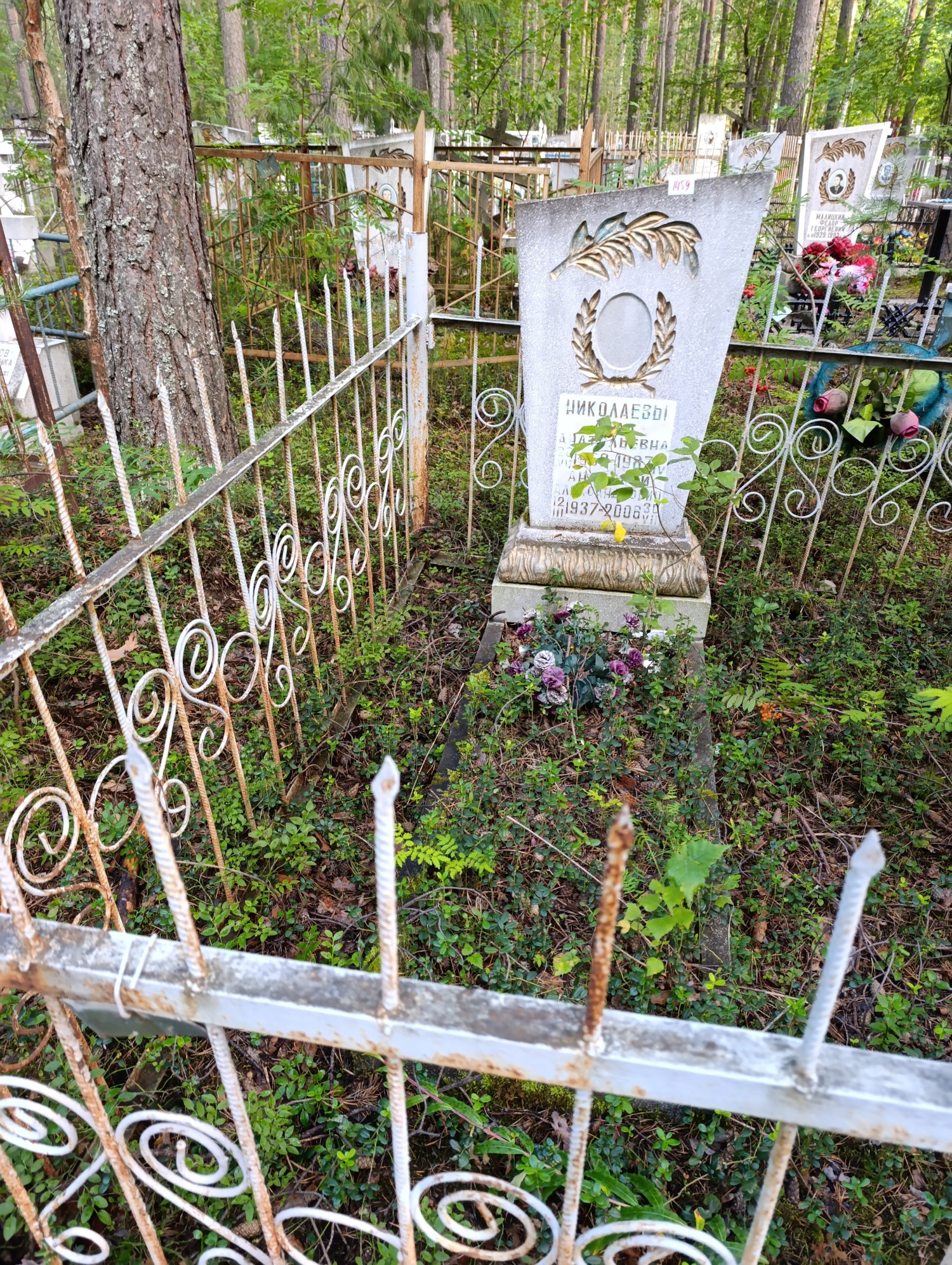 Николаев Анатолий Александрович