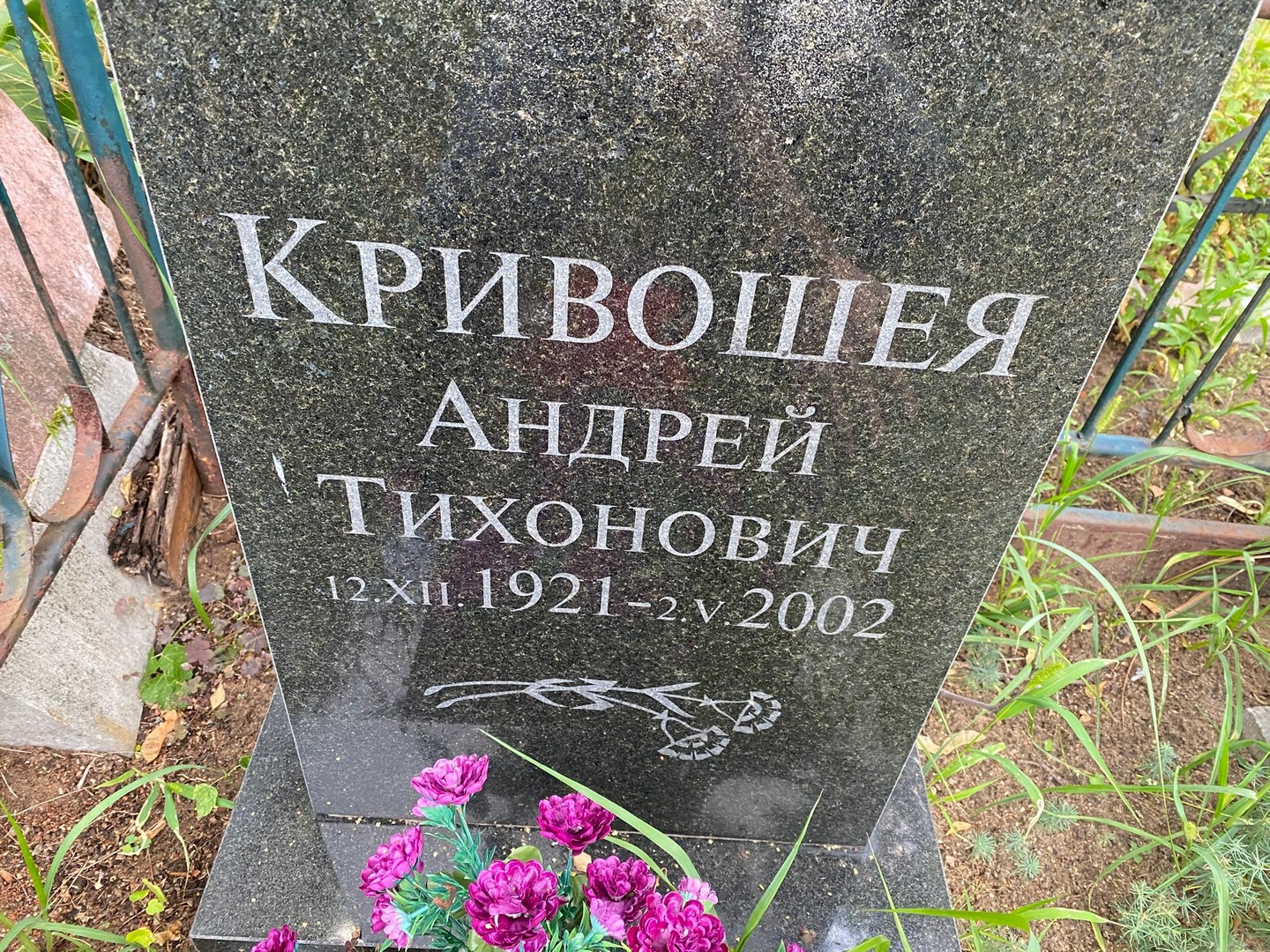 Кривошея
