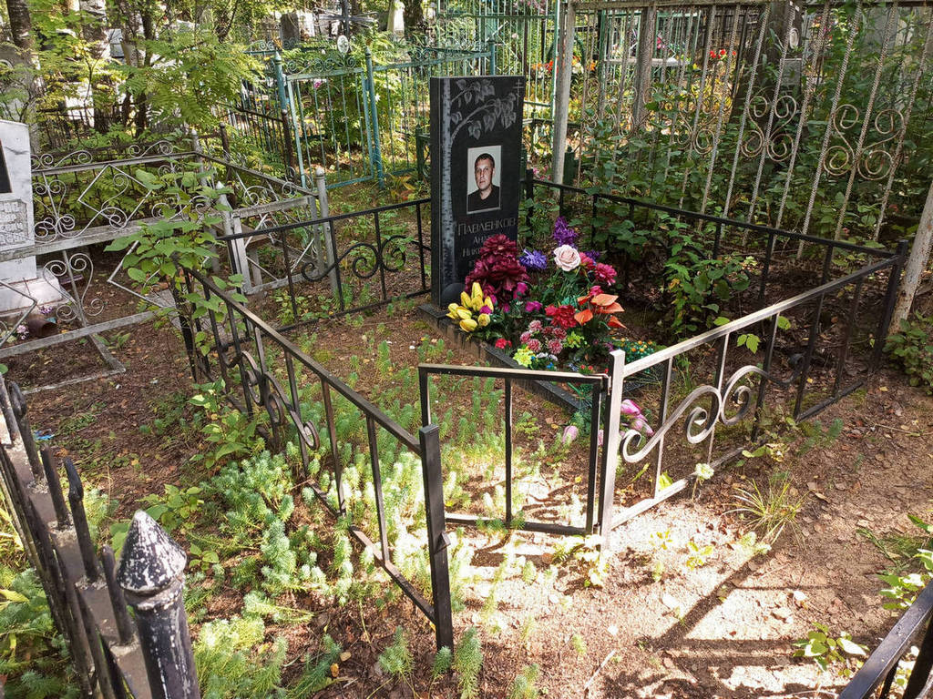 Павленков Андрей Николаевич