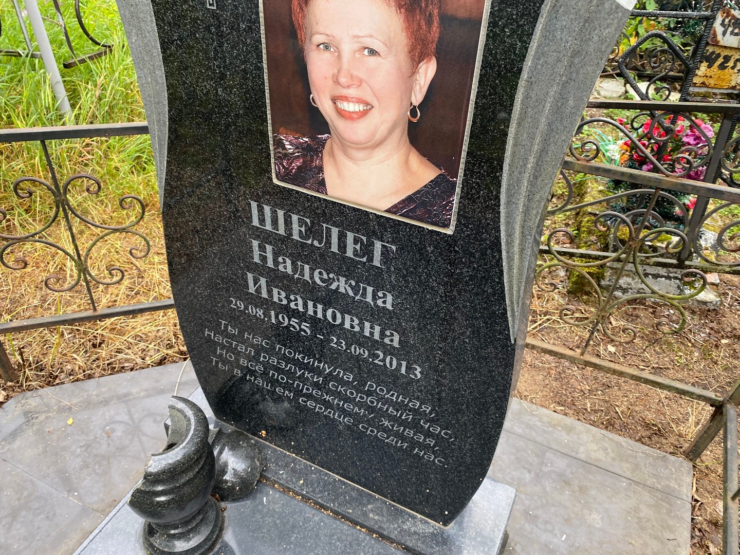 Шелег