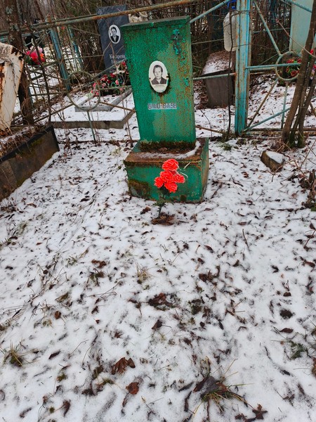 Анисимова Елизавета Сергеевна