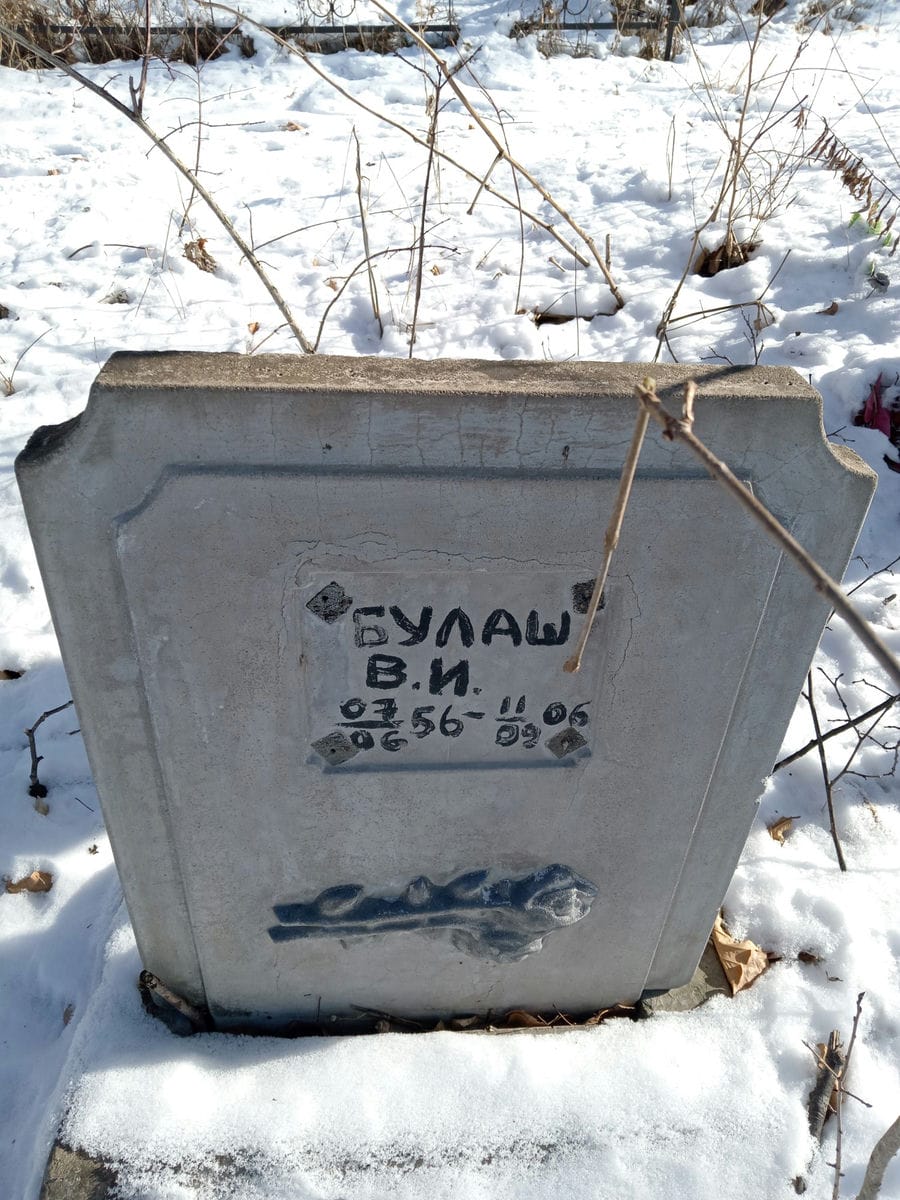 Булаш В И