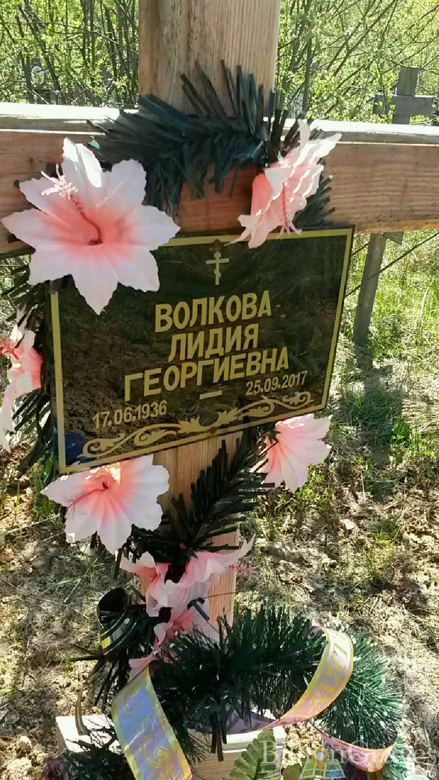 Волкова Лидия Георгиевна