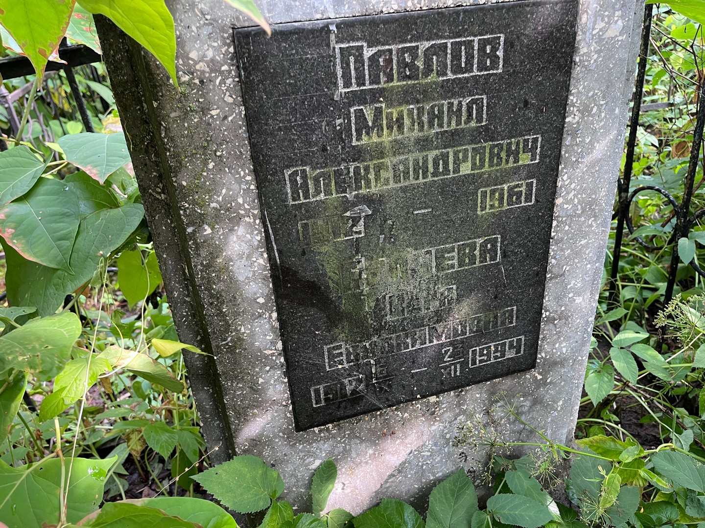 Павлов