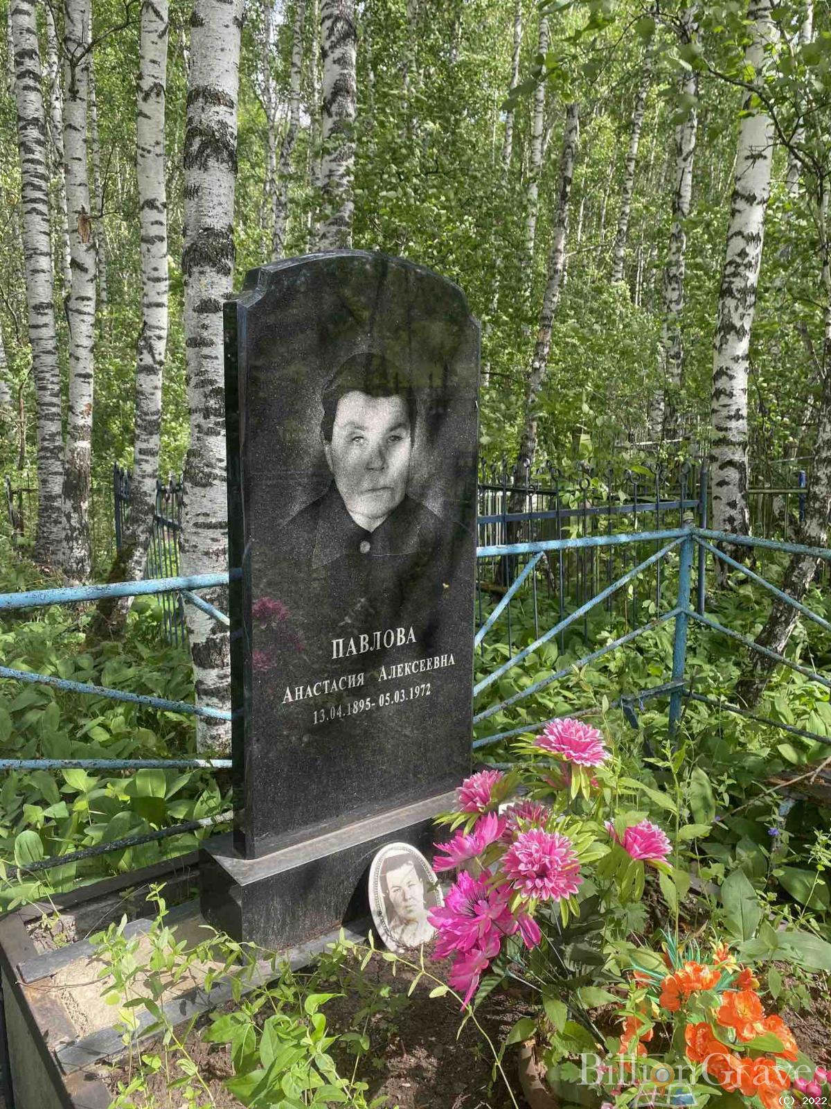 Павлова Анастасия Алексеевна