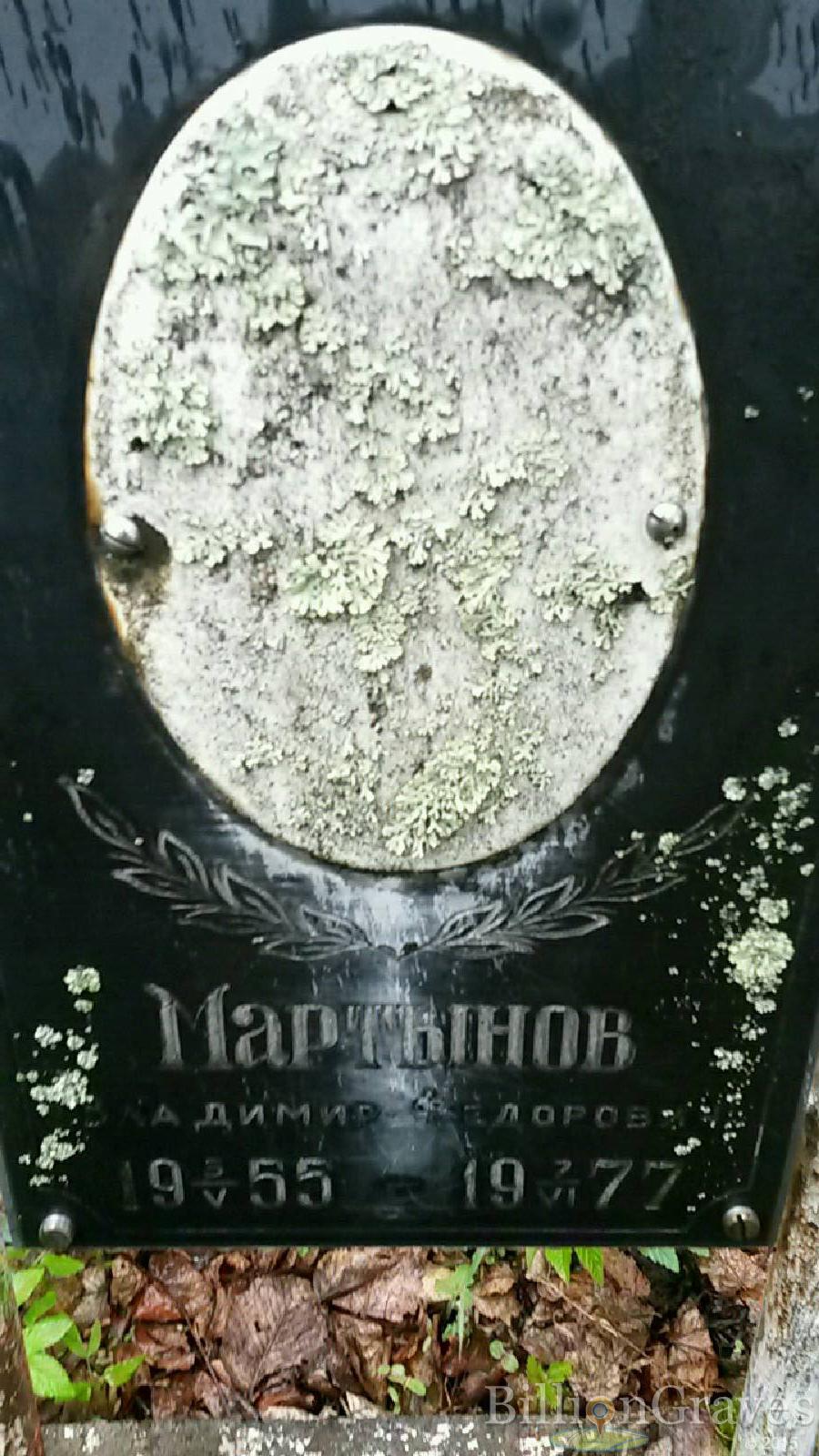 мартынов владимир федорович