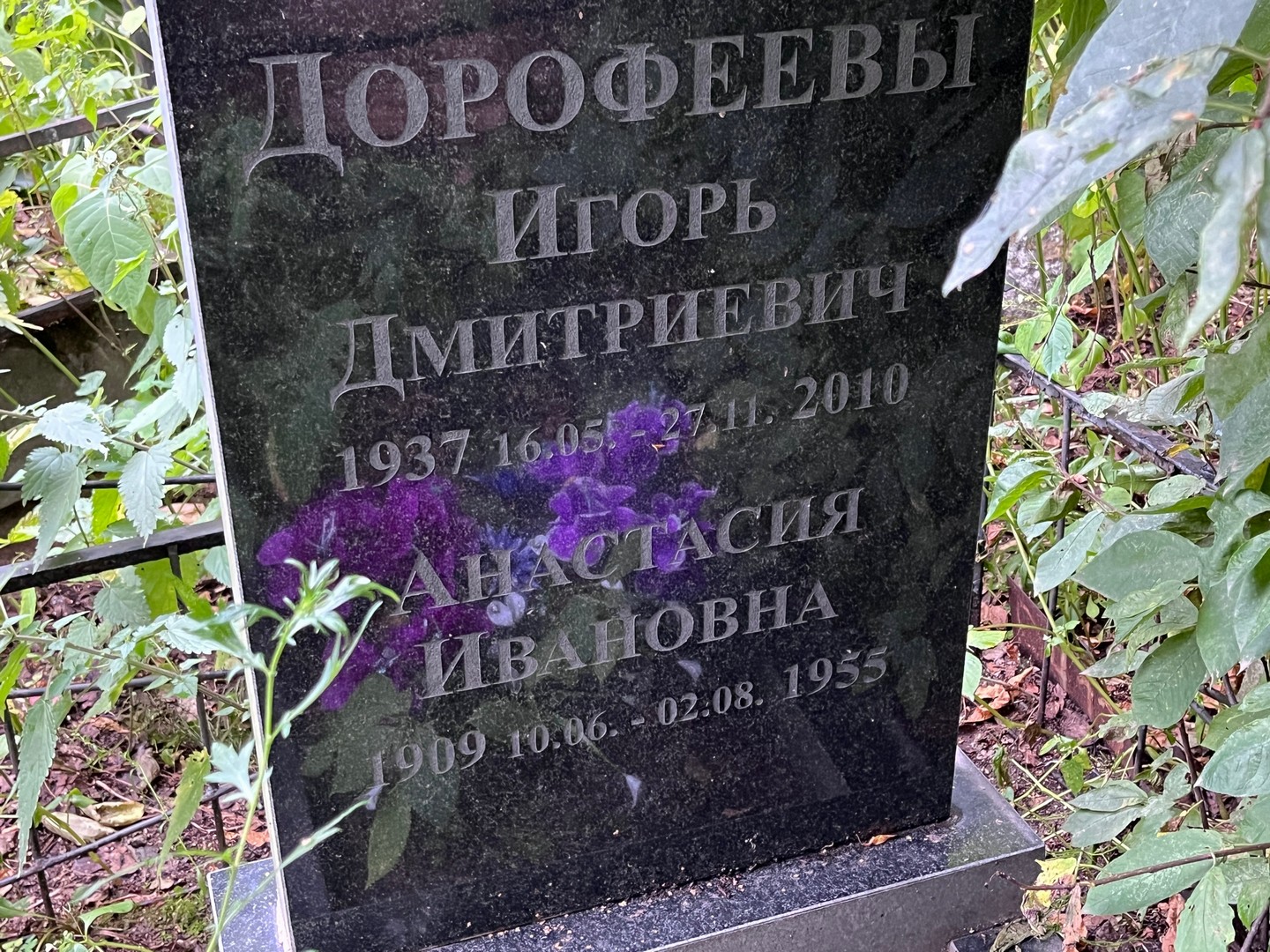 Дорофеев