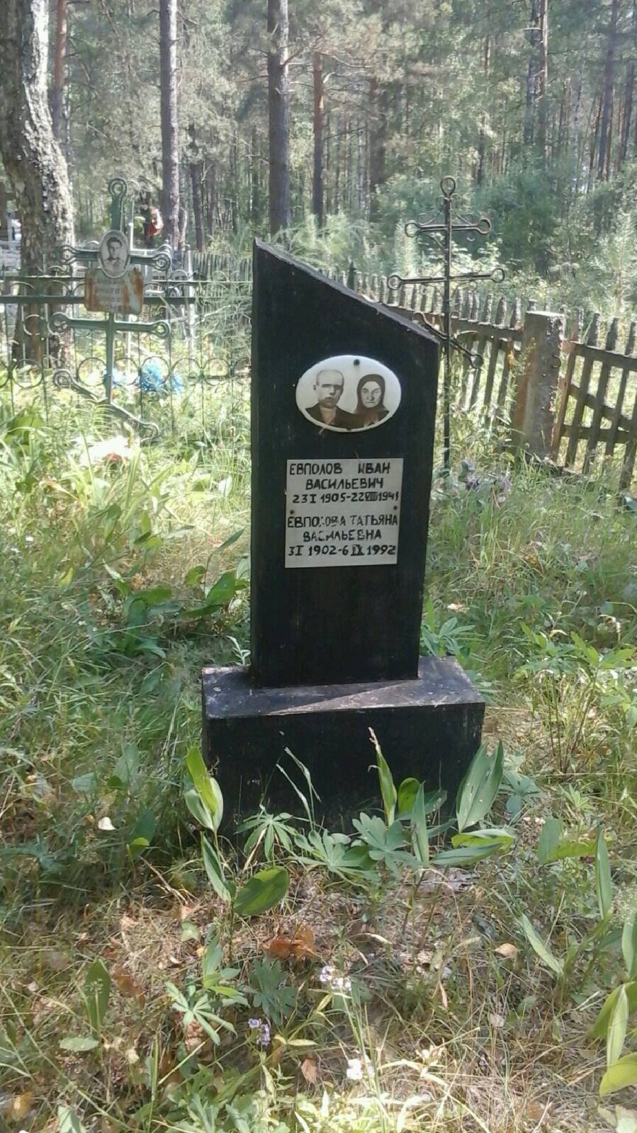 Евполова Татьяна Васильевна