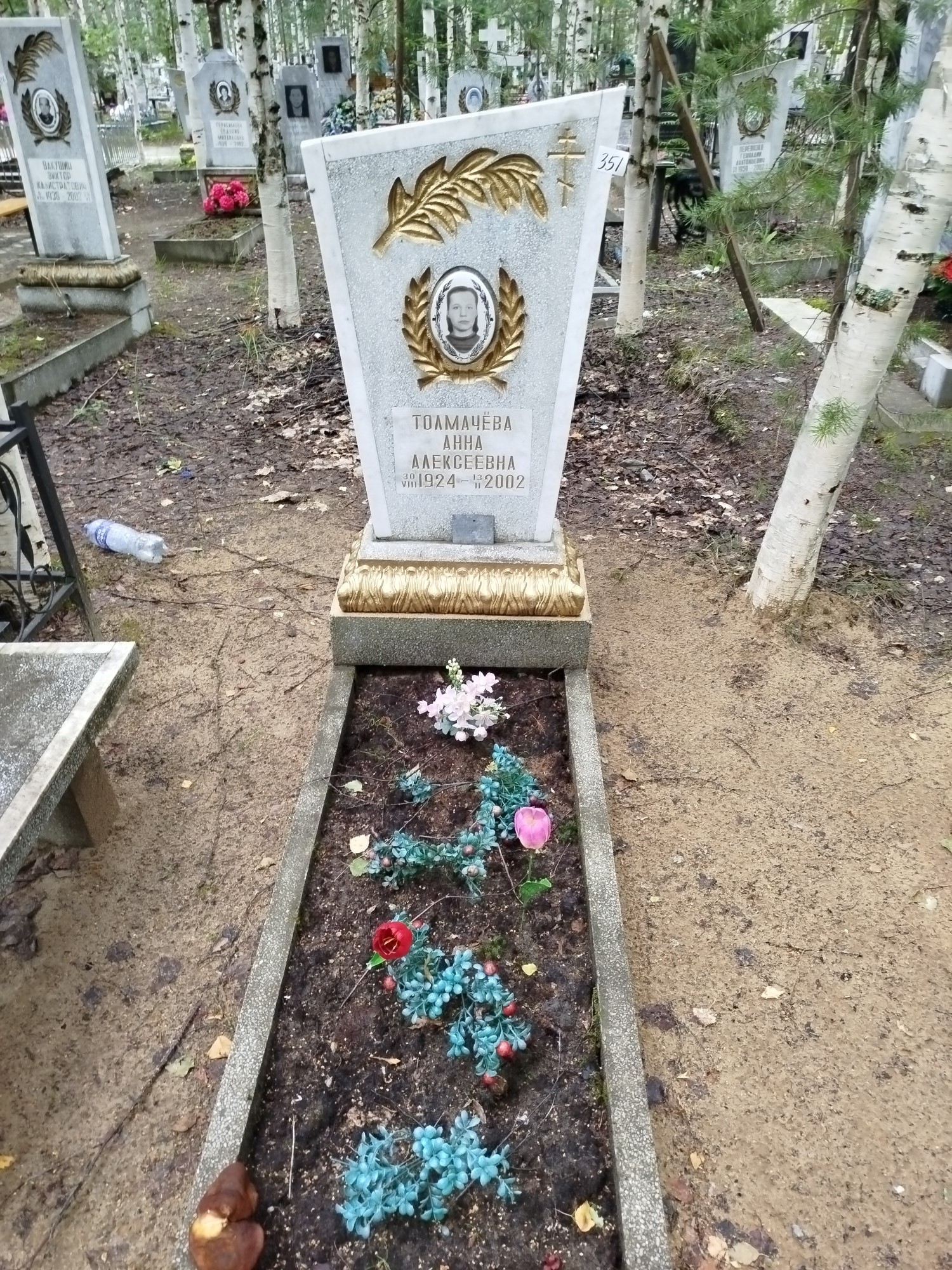 Толмачева Анна Алексеевна