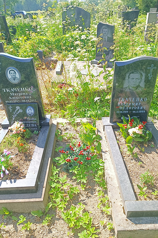 Ткаченко Владимир Федорович
