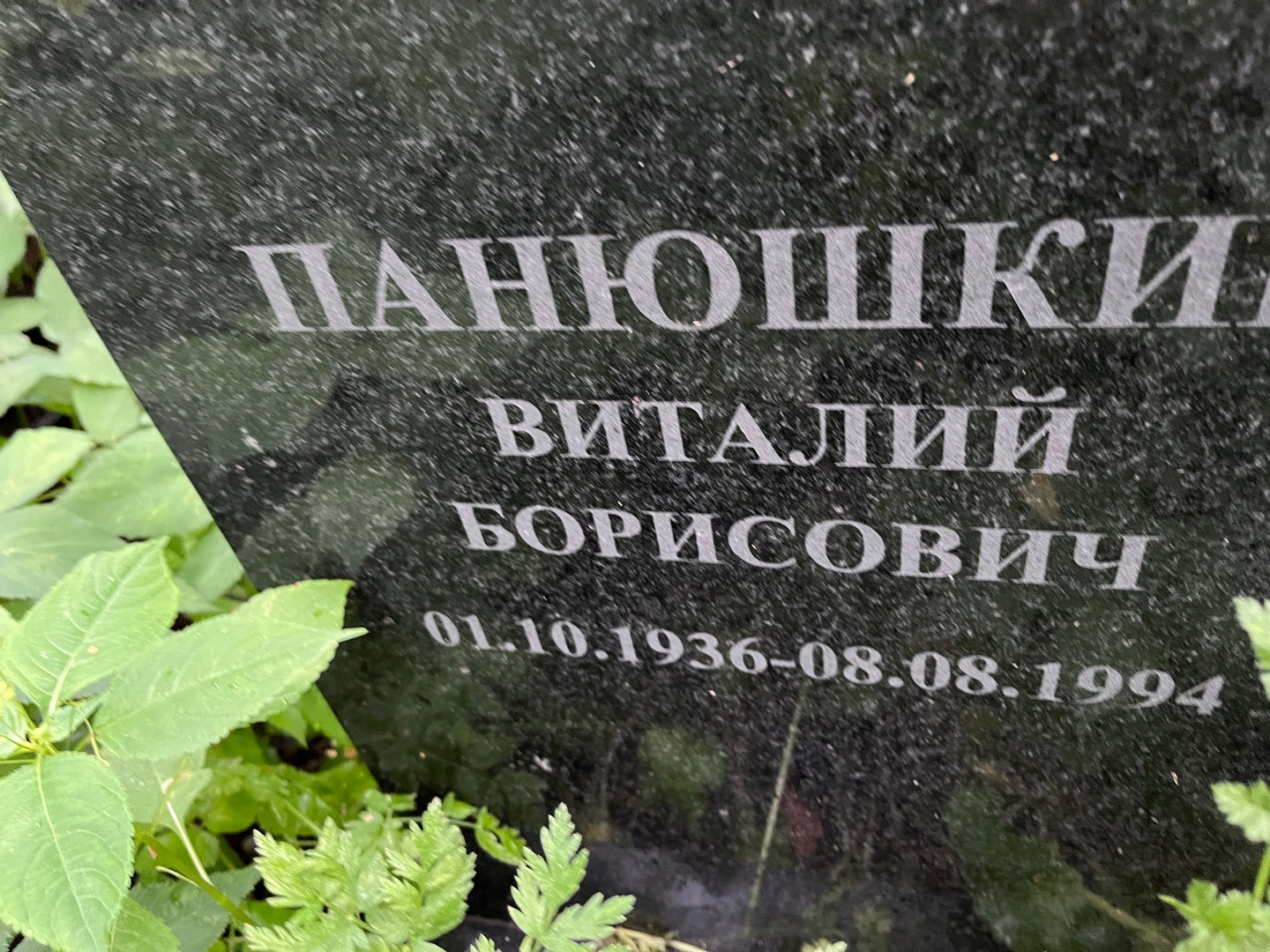 Панюшкин